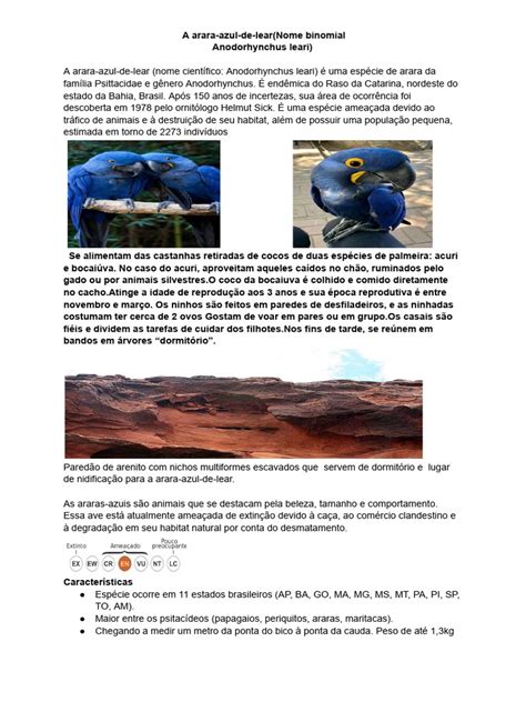 Ficha Técnica da Arara-Azul-de-Lear | PDF
