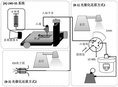 一种快速检测禁用偶氮染料释放的芳香胺的原位质谱方法与流程