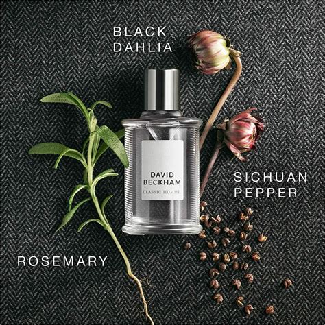 Classic Homme by David Beckham » Reviews & Perfume Facts