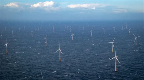 Belgium Joins International Alliance To Boost Offshore Wind Capacity