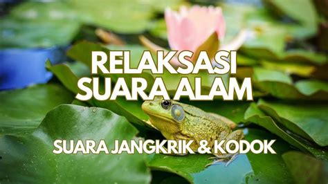 Suara Alam Tersembunyi Terapi Relaksasi Dengan Suara Jangkrik Dan