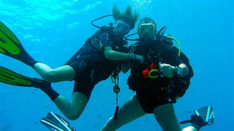 Nos Formations De Plong E Sous Marine En Guadeloupe Plongee