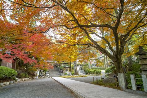 2023年 大興善寺の紅葉1 写真共有サイト「フォト蔵」