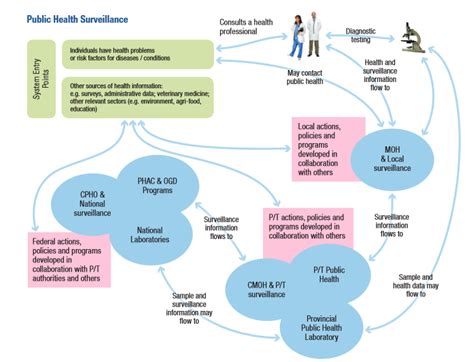 Public Health National Collaborating Centre For Infectious Diseases