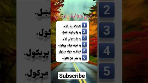 غریبی د 6 شیانو له عمله راځي pashto shorts shortsfeed germany