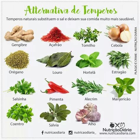 Temperos Naturais Temperos Naturais Ervas Ervas Medicinais