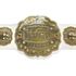 New Japan Pro Wrestling Replica Belt Nd Generation Iwgp