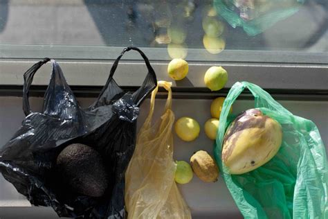 Wolfgang TILLMANS Calama Still Life 2012 Copie Le Fonds De Dotation