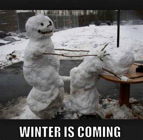 Winter is coming - Meme by soydolphin :) Memedroid