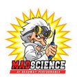 Mad Scientist Man Royalty Free Vector Image VectorStock