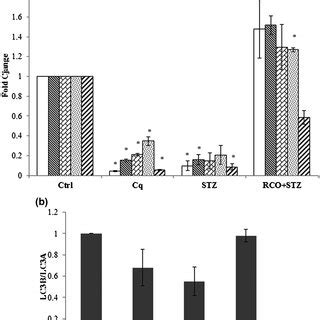 Effects Of Chloroquine Stz G Ml And Combination Of Stz And