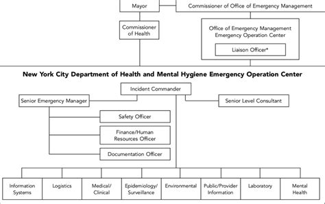 New York City Department Of Health And Mental Hygienes Public Health