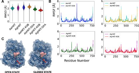 Inhibition Of Hydroxykynurenine Transaminase From Aedes Aegypti And