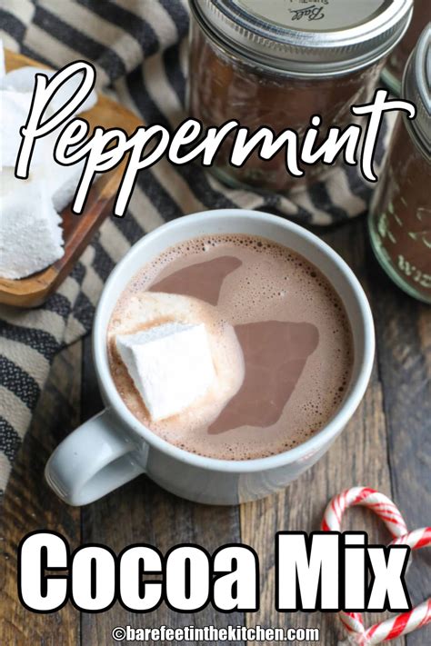 Peppermint Hot Cocoa Mix - Barefeet in the Kitchen