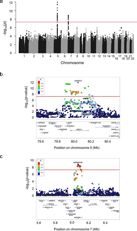 Genome Wide Association Study GWAS On Age At Onset AAO In X Linked