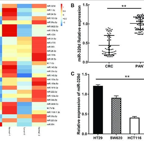 The Expressions Of Mir 320d Were Examined In The Egfr Positive Download Scientific Diagram