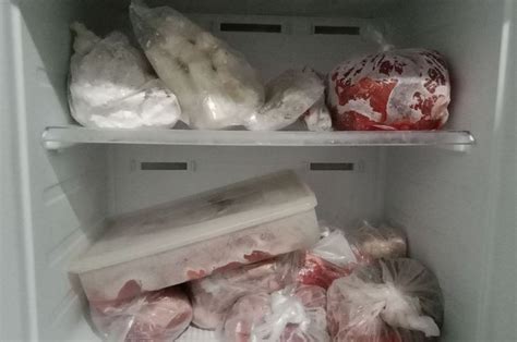 Pantas Ibu Mertua Ngomel Lihat Cara Menyimpan Daging Di Freezer Ala