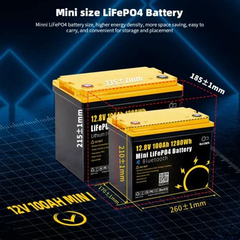 GoKWh 12V 100Ah Mini Bluetooth LiFePO4 Battery GoKWh