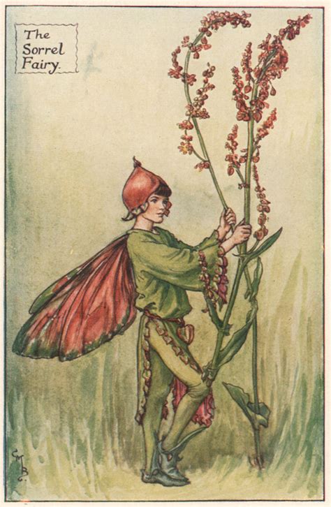 Forget Me Not Fairy By Cicely Mary Barker Summer Flower Fairies C1935