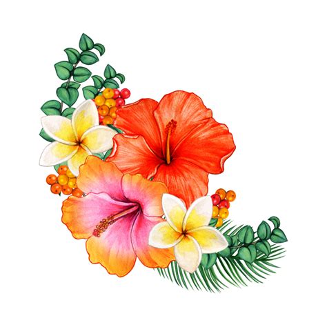 Flores Tropicais Em Aquarela 15117871 PNG