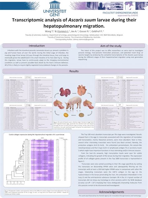 Pdf Transcriptomic Analysis Of Ascaris Suum Larvae During Fig