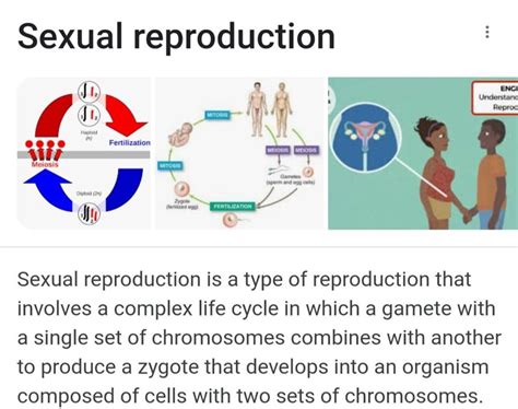 Sexual Reproductionsexual Reproduction Is A Type Of Reproduction That In