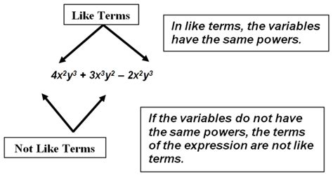 Simplifying Polynomial Expressions | TEKS Guide