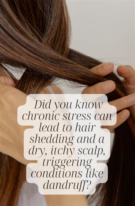 Stressed Tresses How Stress Affects Your Hair Xylem Salon Spa