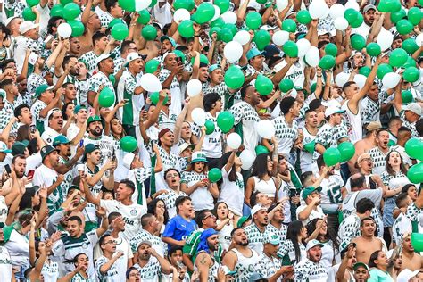 Topo Imagem Jogo Do Palmeiras E Santos Ontem Br Thptnganamst Edu Vn