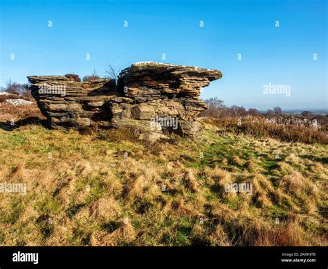 Gritstone rock formation on Brimham Moor Nidderdale AONB North Yorkshire England Stock Photo - Alamy