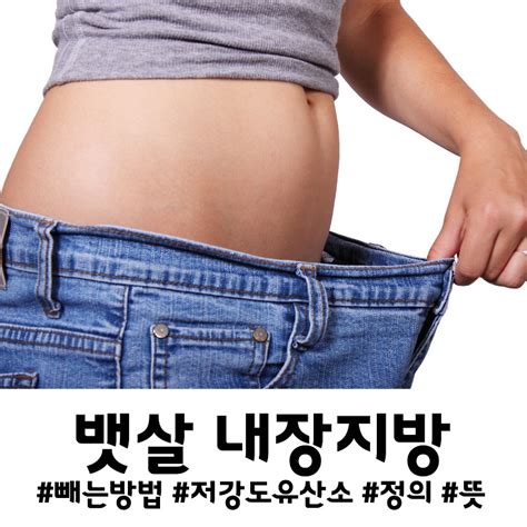 내장지방 뱃살 쉽고 잘 빼는 방법 중저강도 유산소 수면 방법 혈당 스파이크 거인의 경제 메모