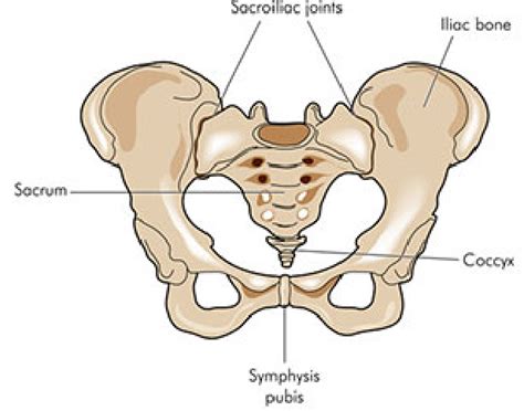 Coccydynia Treatment - Physiotherapy Victoria BC