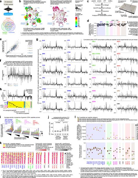 Origin Of Peptide Sensors Assay Repeatability And Comparison Of