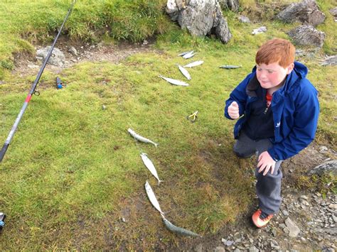 Our Guide To Help You Catch Mackerel On Anglesey