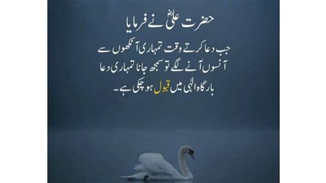 Amazing Collection Of Hazrat Ali Ra Quotes In Urdu Islamic Quotes In