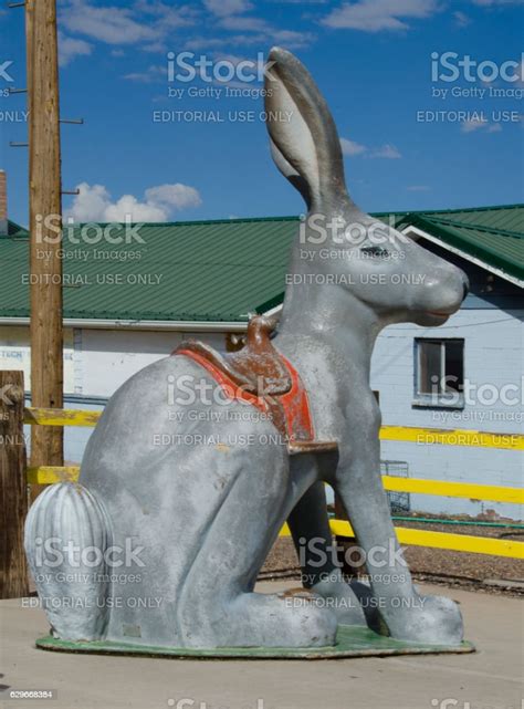 Giant Jack Rabbit On Route 66 Stock Photo - Download Image Now - Large ...