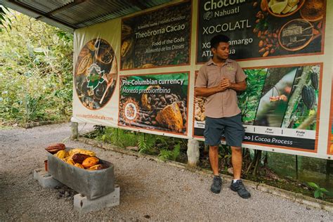 The Best Coffee Chocolate Tour In La Fortuna Costa Rica