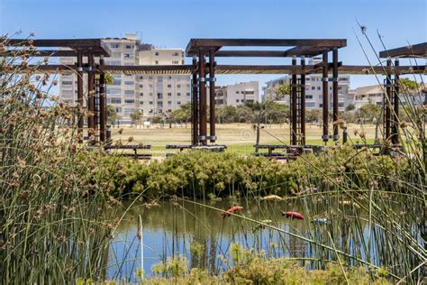 Green Point Park Lake Panorama With Fishes Hotels Cape Town Stock