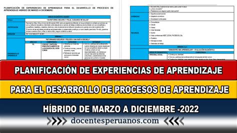 Planificaci N De Experiencias De Aprendizaje Para El Desarrollo De