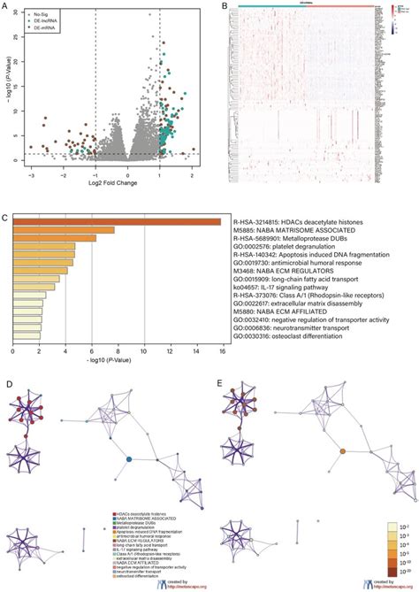 Differential Expression And Enrichment Analysis Volcano Plot Of Download Scientific Diagram