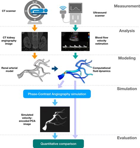 The Overview Of The Experimental Workflow Implemented In The Study