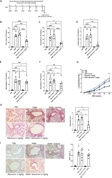 Monensin Suppresses Multiple Features Of House Dust Mite Induced