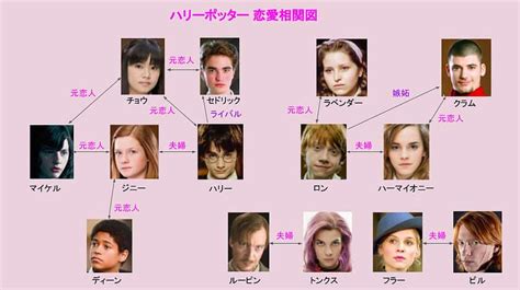 ハリー・ポッターは四角関係⁉︎恋愛相関図を大公開！ とーるきんの予定通りにラッキー