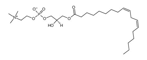 Linoleoyl Hydroxy Sn Glycero Pccas