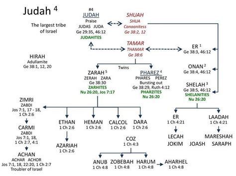 Judah Family Tree | Bible study tips, Bible study help, Online bible study