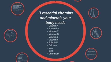 11 Essential Vitamins And Minerals Your Body Needs By Vincent