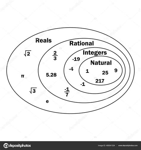 Chart Real Number System Stock Vector by ©zizou07 485541324