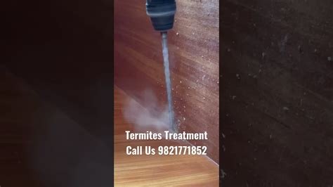 Best Termites Treatment Chemical YouTube