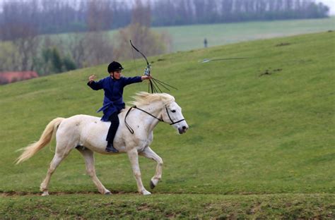 Ves Sszefoglal World Federation Of Equestrian Archery