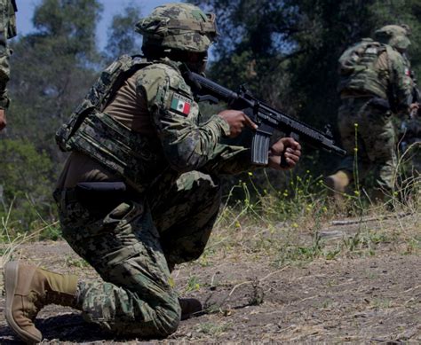 Video Mexican Marines Hone Infantry Skills In Rim Of The Pacific Socal